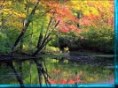 Autumn Lake
-1024x781