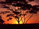 Sunset in Africa..
-640x480