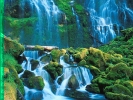 Proxy Falls, Oregon.
-800x600